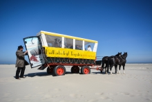 huifkar terschelling