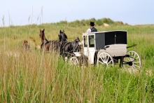 trouwkoets terschelling