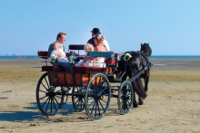 koets trouwen terschelling