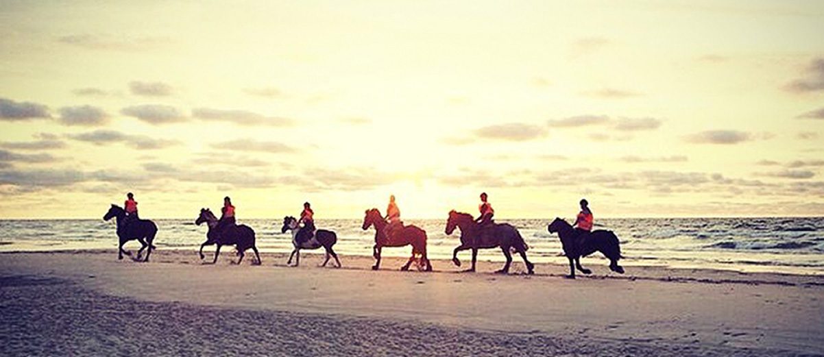 paardrijden op het strand van Terschelling met zonsondergang