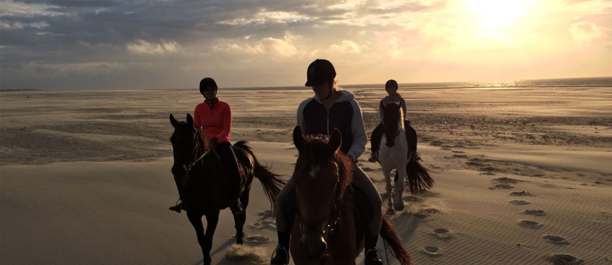 Avondtocht te paard voor de gevorde ruiter.