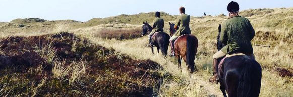 Paardrijden beginnerstocht op Terschelling