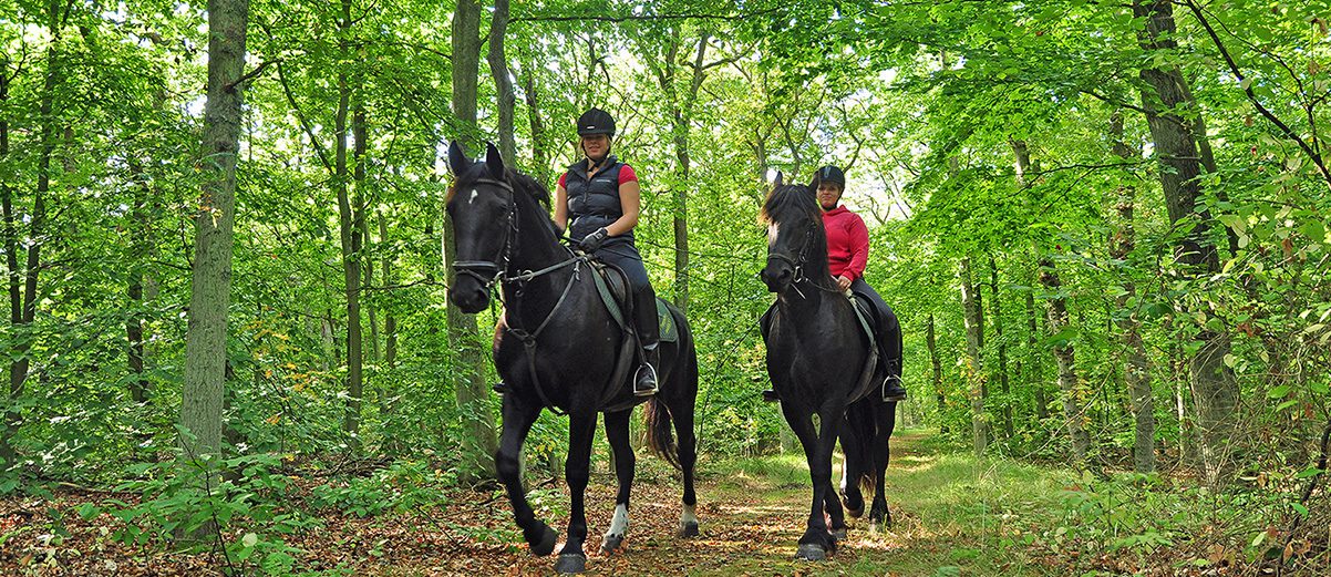 halvgevorderden tocht te paard