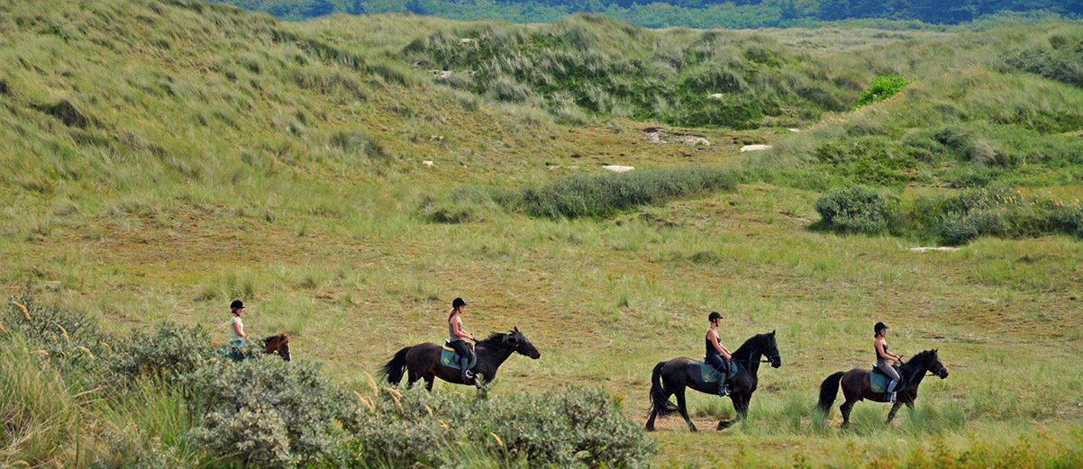 Paardrijden Terschelling