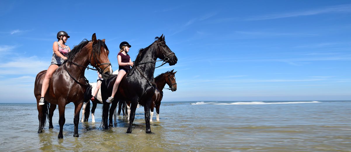 Leuke aciviteiten gedurende zomer