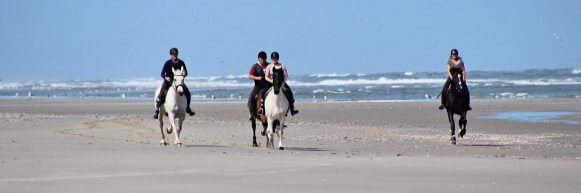 Paardrijden Terschelling