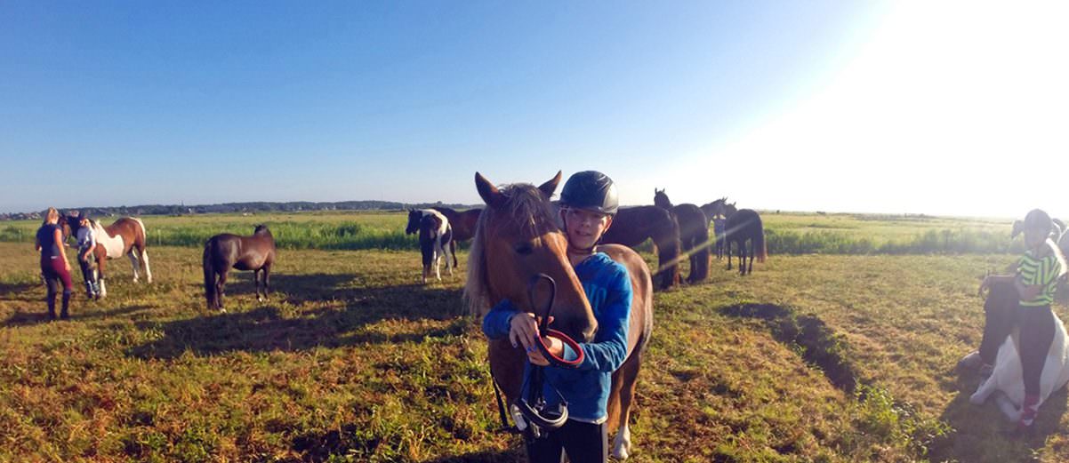 Ponykamp Terschelling voor kids.