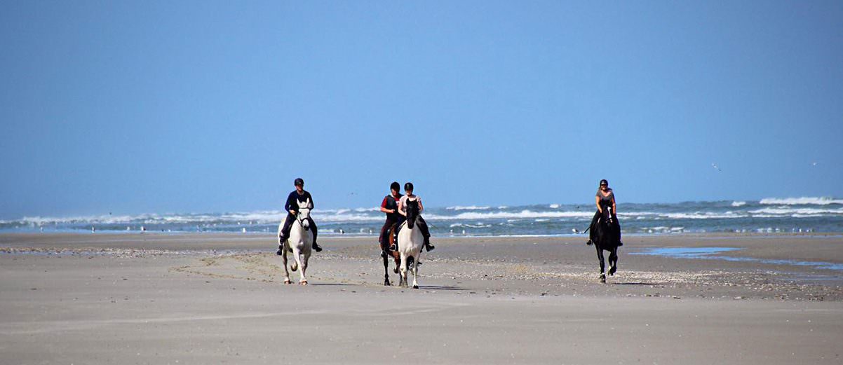 Paardrijden met Terpstra Rijpaardenverhuur op Terschelling.