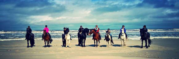 Weekend paardrijden Terschelling