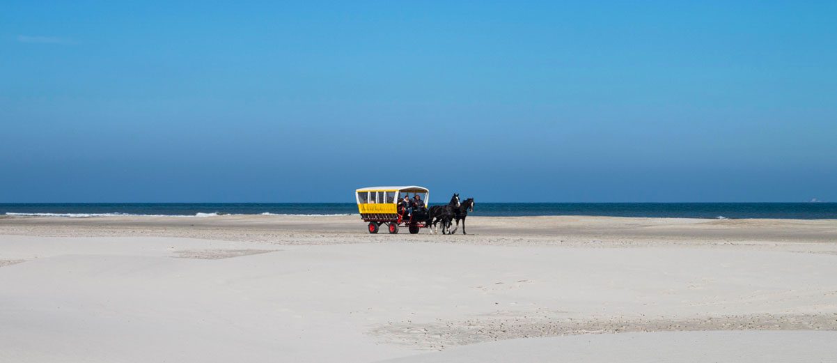 Jutterstocht met huifkar over het brede Noordzeestrand van Terschelling.