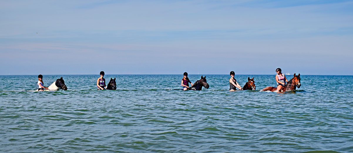 Zomer activitieit voor ervaren ruiters.