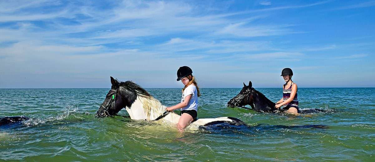 Paardrijden en zwemmen in de zee op Terschelling.