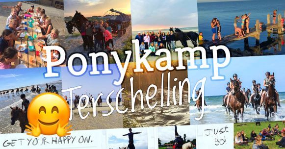 Ponykamp op Terschelling