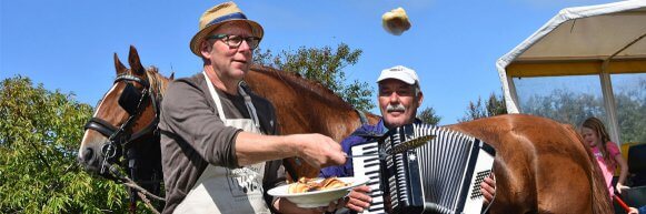 huifkartocht met lunch