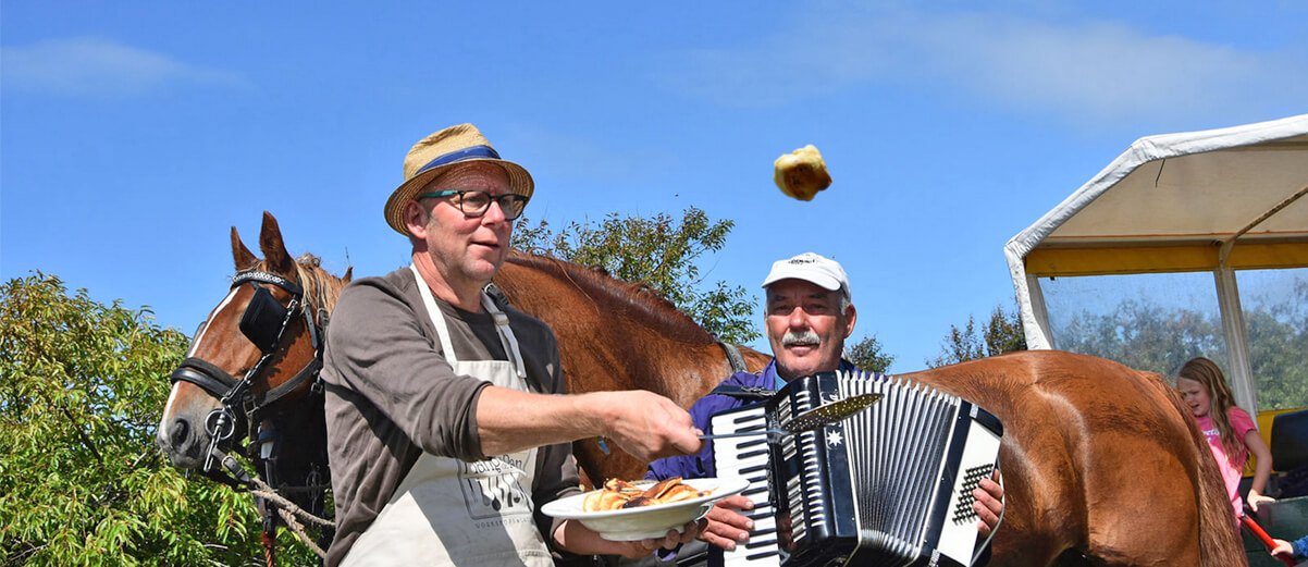 huifkartocht boschplaat met lunch