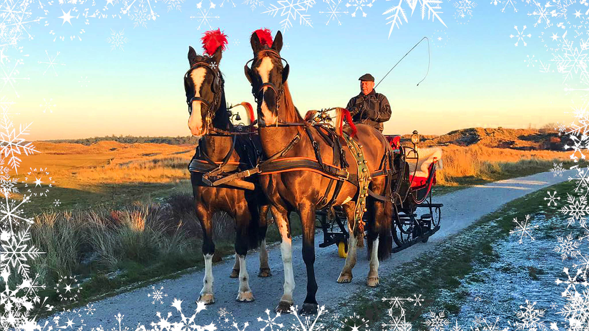 arrenslee tocht terschelling