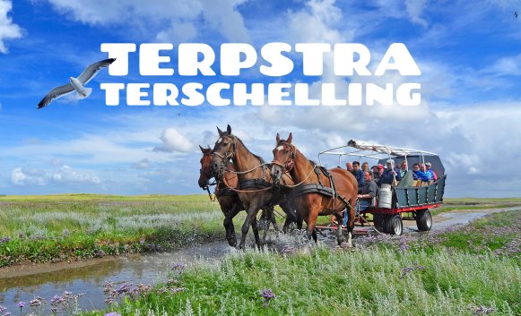 Huifkarbedrif Terpstra Terschelling