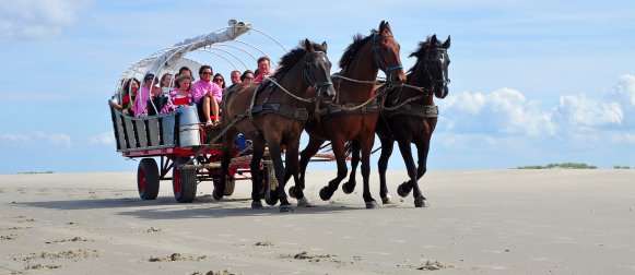 Huifkartochten door de natuur van Terschelling