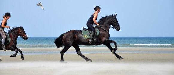 Paardrijden Terschelling