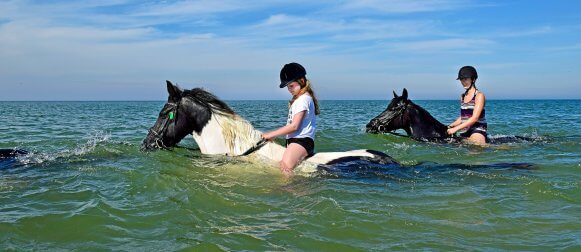 Zwemmen met paarden